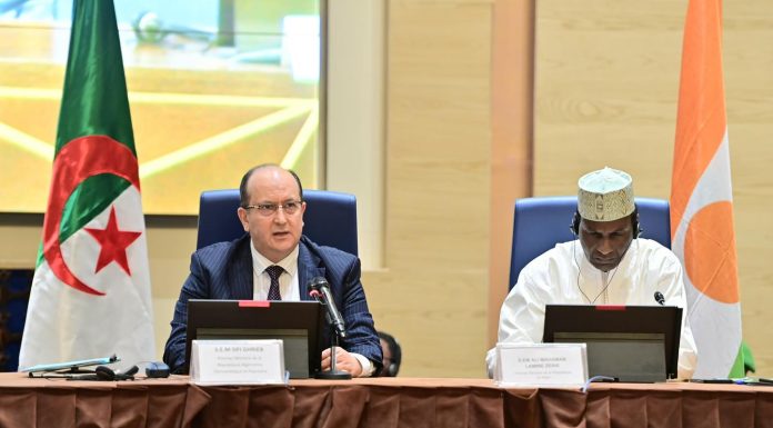 L’Algérie et le Niger auront une route transsaharienne !
