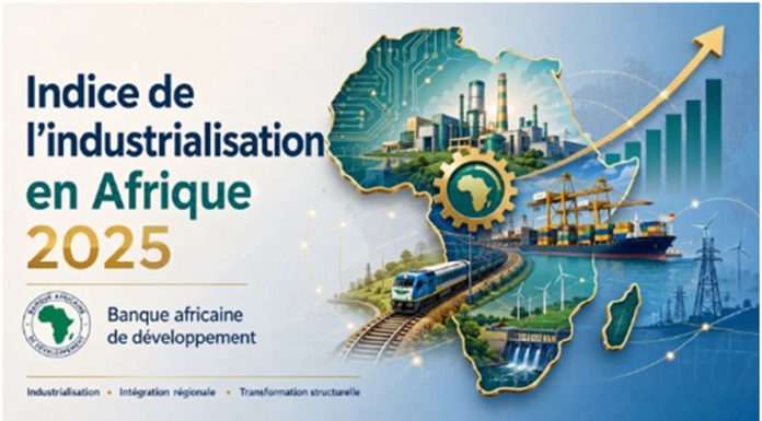 Pourquoi la Tunisie n’est que la 4ème industrie d’Afrique ?