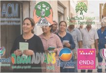 La microfinance tunisienne, entre le social réglementaire et la rente de fait
