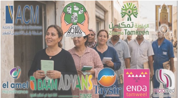 La microfinance tunisienne, entre le social réglementaire et la rente de fait