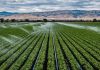 L’impératif d’une agriculture climato-intelligente