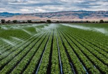 L’impératif d’une agriculture climato-intelligente