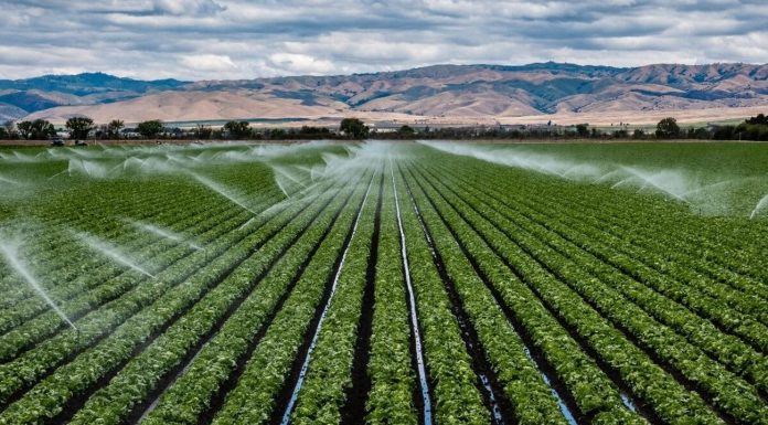 L’impératif d’une agriculture climato-intelligente