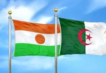 Inauguration de la grande centrale électrique algéro-nigérienne