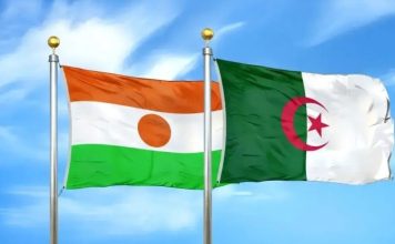 Inauguration de la grande centrale électrique algéro-nigérienne