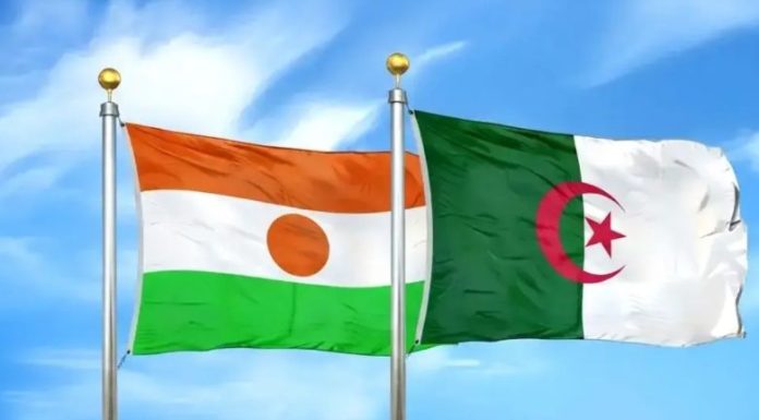 Inauguration de la grande centrale électrique algéro-nigérienne