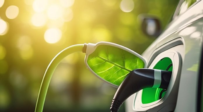 La voie passante des carburants verts en Tunisie