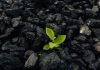 « Acquasol-Biochar » : une solution innovante pour le traitement durable des eaux polluées en Tunisie