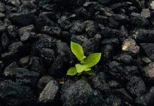 « Acquasol-Biochar » : une solution innovante pour le traitement durable des eaux polluées en Tunisie