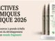 La BAD juge les économies de l’Afrique subsaharienne