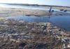 Nabeul : Plage polluée à Ksar saad, les habitants de korba à bout de souffle
