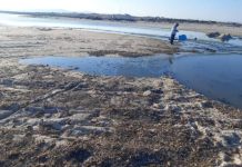 Nabeul : Plage polluée à Ksar saad, les habitants de korba à bout de souffle
