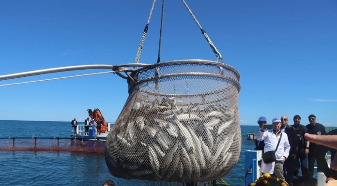 L’Algérie ambitionne de produire 20 mille tonnes de poissons en 2027