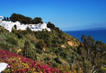 Glissements de terrain : Sidi Bou Saïd, projet stratégique majeur