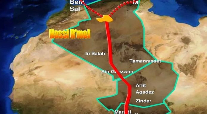 Algérie : Le projet de gazoduc transsaharien avance