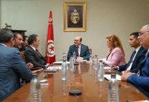 Tunisie-Brésil : Tourisme et artisanat, nouveaux leviers de la coopération bilatérale