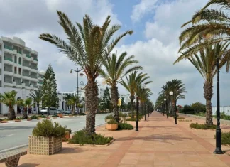 Hammamet : A peine installés, des conteneurs à déchets vandalisés !