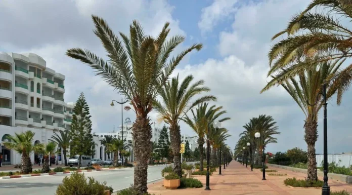 Hammamet : A peine installés, des conteneurs à déchets vandalisés !