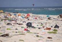 Tunisie : 80 % des déchets marins proviennent de la terre