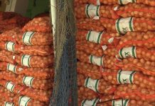 Maroc: Les importations d’oignons bondissent à un record de 21 600 tonnes