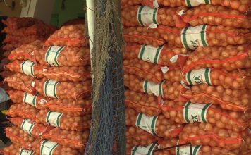 Maroc: Les importations d’oignons bondissent à un record de 21 600 tonnes