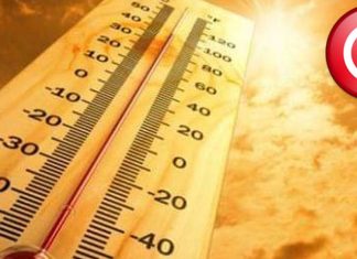 Des températures caniculaires en Tunisie, 49° à Jemmal