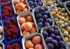 Fruits d’été à noyau : Les recettes d’exportation en hausse de 18%, pour atteindre 66,1 MDT