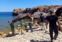 Nabeul: L’APAL poursuit ses interventions dans 44 plages
