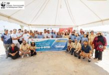 Une station de recharge solaire inaugurée au profit de la pêche artisanale à Djerba