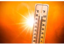 Le mercure s’envole: jusqu’à 48°C, ce vendredi !