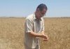 Tozeur : Une exploitation agricole à Aïn El Karma retenue comme ferme pilote en agroécologie