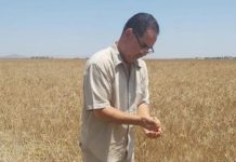 Tozeur : Une exploitation agricole à Aïn El Karma retenue comme ferme pilote en agroécologie