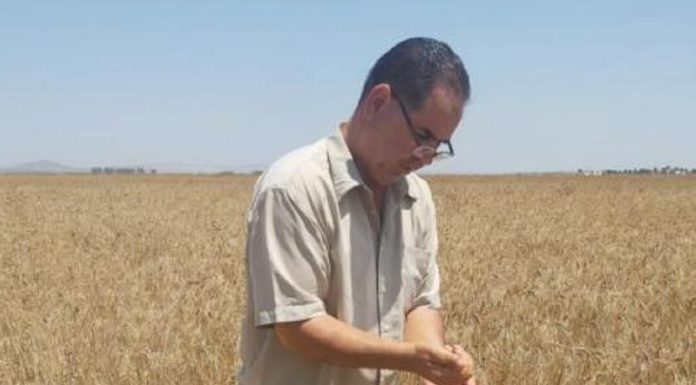 Une exploitation agricole à Aïn El Karma, ferme pilote