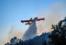 Tunisie-feux de forêt : L’Italie dépêche un Canadair