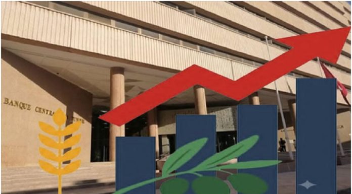 Tunisie : Politique monétaire captive du budget ? le diagnostic vient d’un WP de la BCT