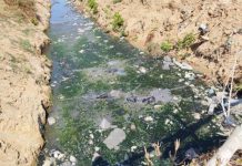 Manouba : Ouverture d’une enquête judiciaire pour rejet d’eaux usées non traitées dans un canal de drainage