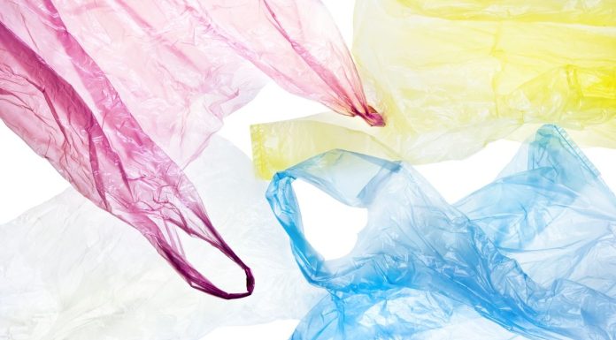 Vers une loi draconienne contre le fléau des sacs plastiques