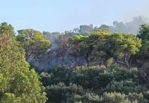 Un incendie rapidement maîtrisé sur les hauteurs de Raoued