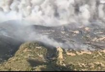 Incendie à Zaghouan : l’armée de l’air maîtrise le feu au sommet du mont Chahma